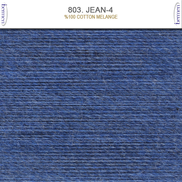 803. JEAN-4